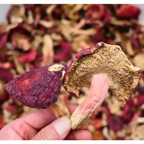 【裕菌隆】野生大红菌 品种满山红菇 云南特产 颜色漂亮价格美丽