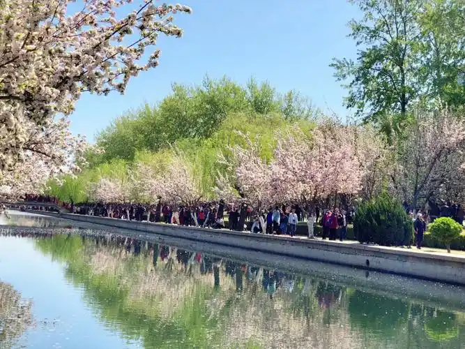 北京海棠花溪