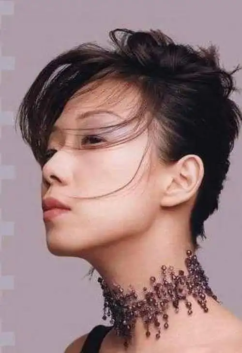 曾插足李宗盛婚姻如今分手令人心疼53岁的林忆莲为何活成这样