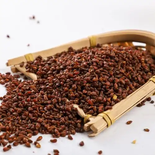 新货四川大凉山全胚芽大粒黄苦荞茶虫草珍珠粒苦荞米茶散装批发