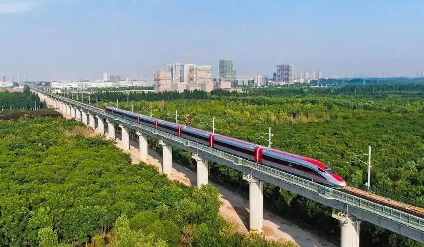 山东高水平开放高在何处