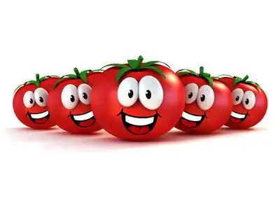 可爱的卡通西红柿照片
