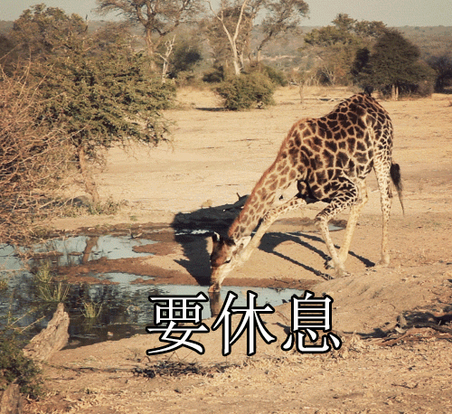 休息gif动图_动态图_表情包下载_soogif