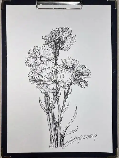 儿童线描速写康乃馨画了个寂寞