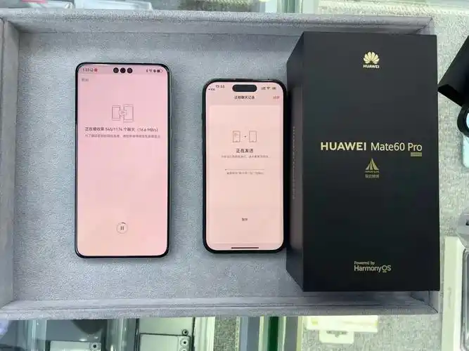 遥遥领先,支持国产.#支持国产 #遥遥领先 #华为mate6 - 抖音