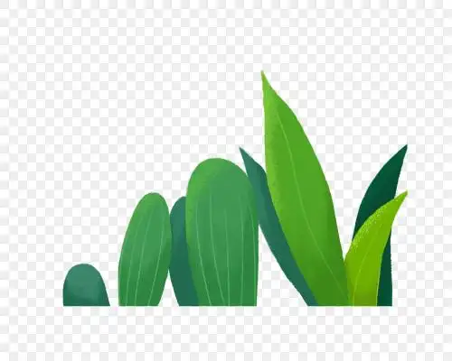 手绘大自然绿色小草