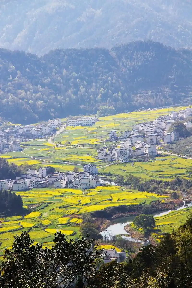 江西婺源江岭风景区(原创作品) - 抖音