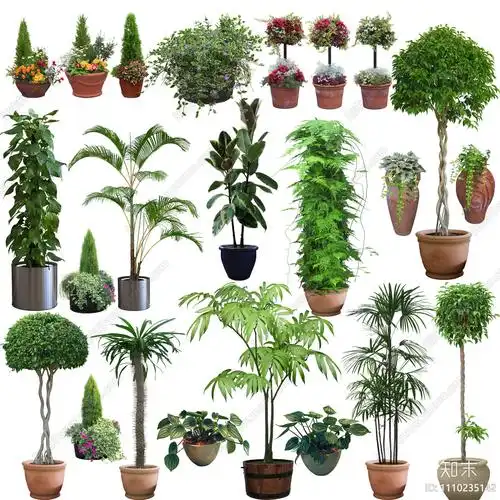 高清室内外盆栽psd免抠贴图下载