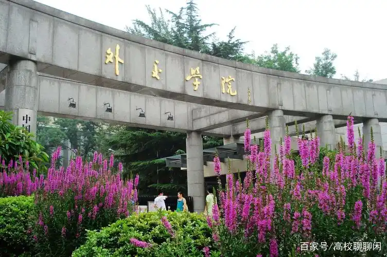 外交f4霸气侧漏,硬核母校皆非凡品