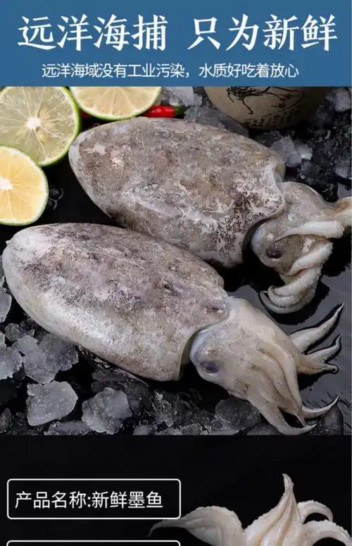 新鲜墨鱼鲜冻大乌贼鲜活大墨鱼超大鲜墨鱼目鱼墨斗鱼 3斤
