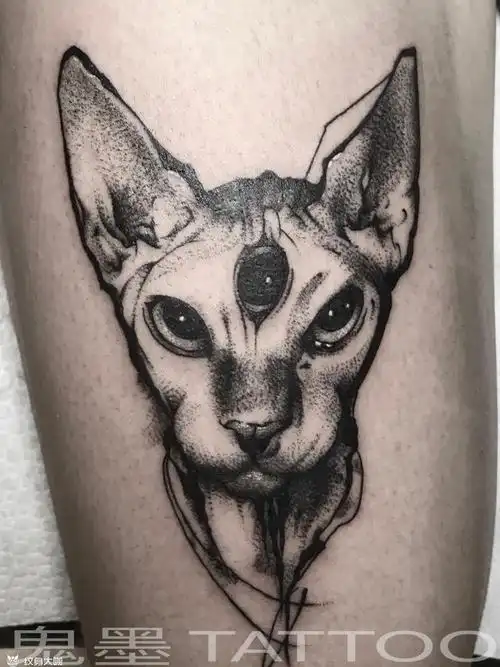 点刺比鲁斯_纹身图案手稿图片_black-hs的纹身作品集