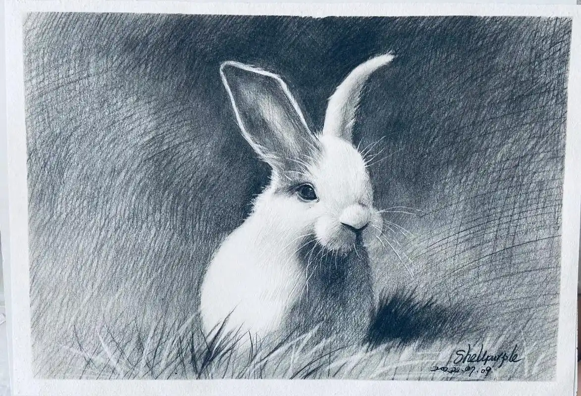 素描 #绘画 小白兔白又白,两只耳朵竖起来…人见人爱真可怜 - 抖音