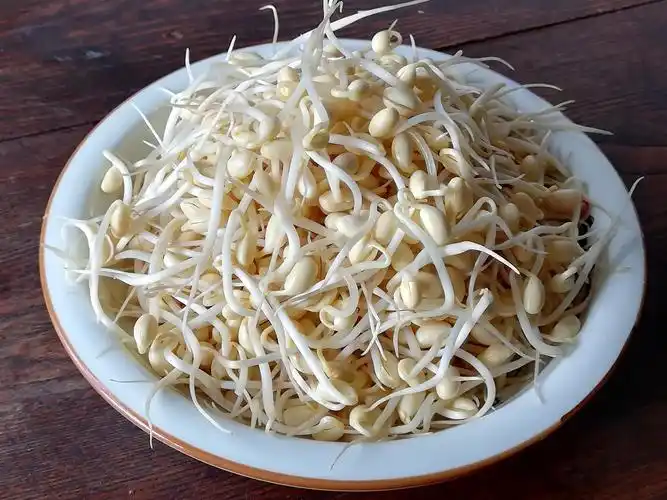 小朋友春季生长快,要适当多吃些这个菜,教你这个做法,味美可口_黄豆芽