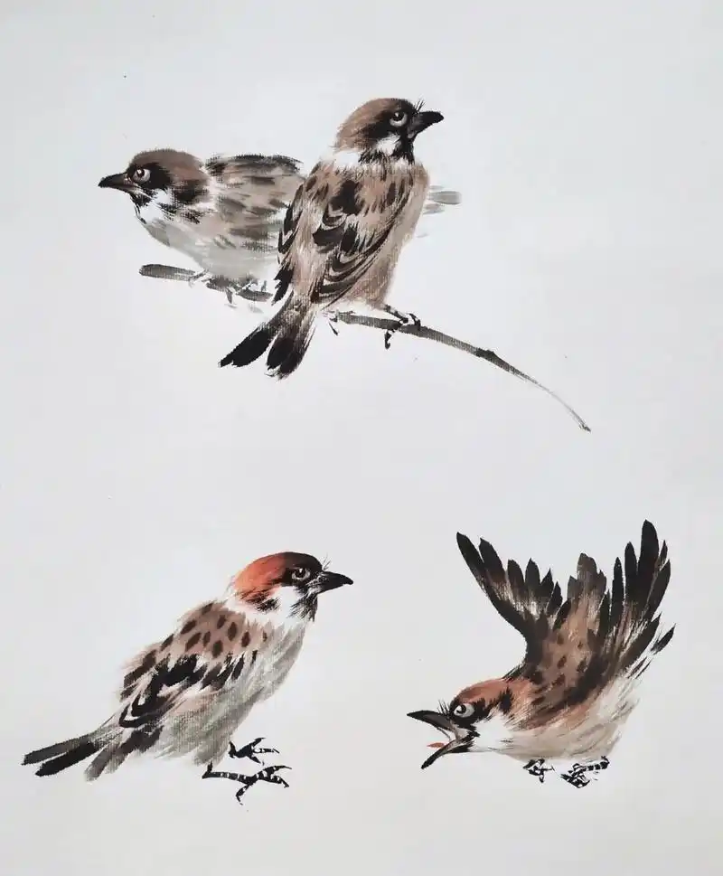 飞禽十六 麻雀不同动态的表现方法#国画花鸟 #花鸟 #国画也 - 抖音