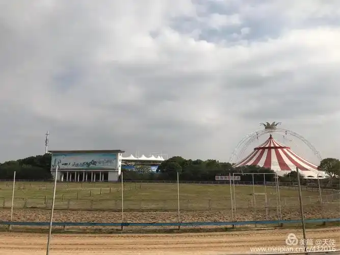 这是跑狗场,我很喜欢狗狗,也很喜欢狗狗的竞赛!