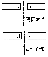 如图所示,让阴极射线穿过磁场,发现射线往纸外偏转,说明阴极射线是一
