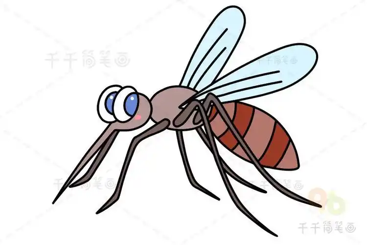 蚊子简笔画如何画