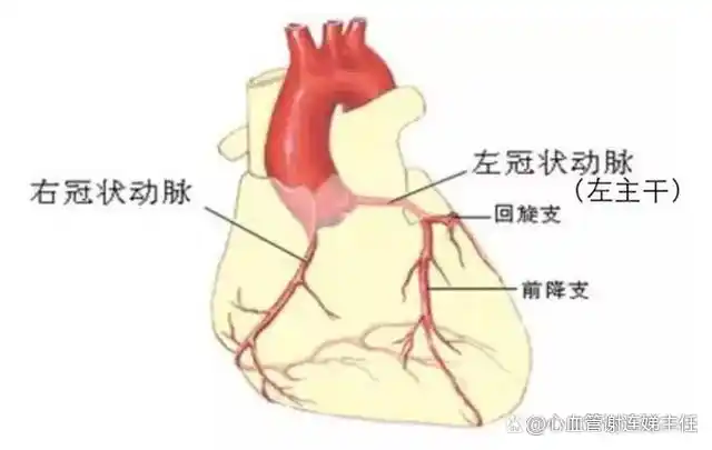 答疑粉丝丨前降支狭窄多少需要干预?