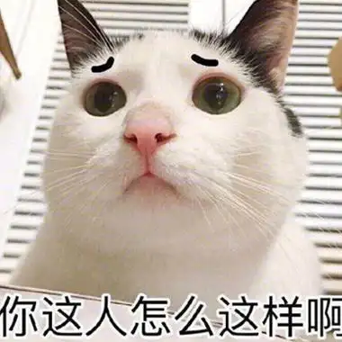 猫咪带字头像搞怪呆萌高清图片