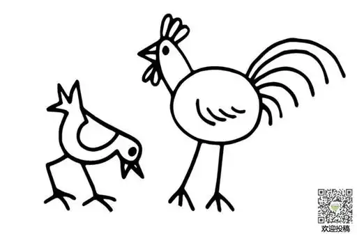 公鸡和母鸡简笔画图片