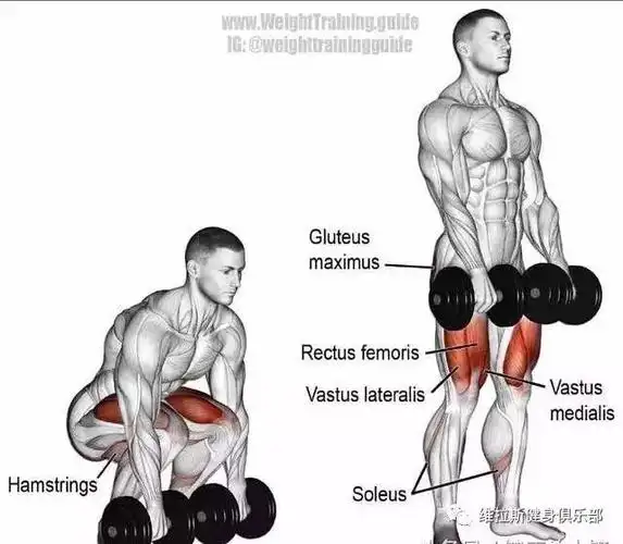 锻炼部位:臀大肌动作要领:a.