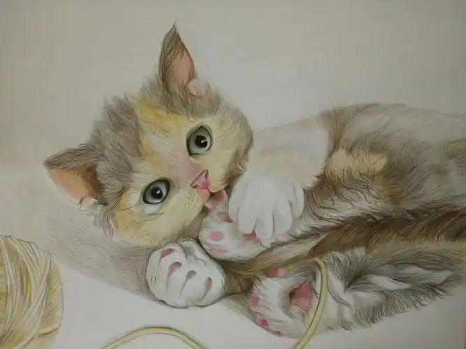 彩铅 猫