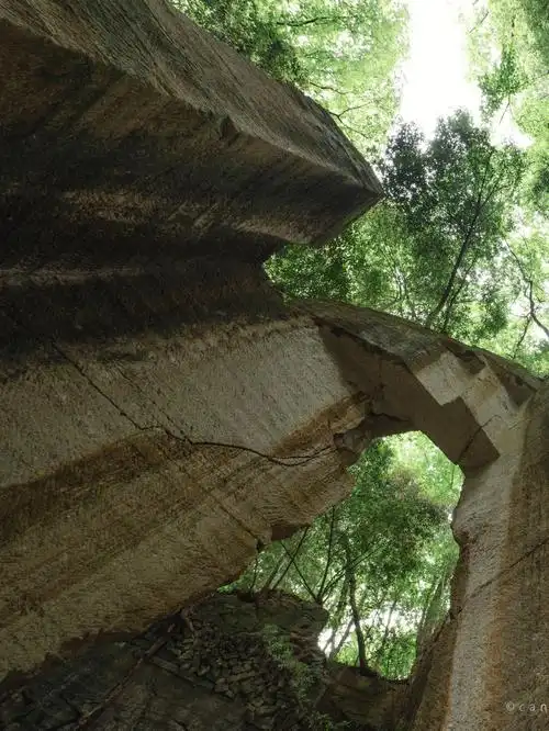 群马县东京周边森林中的巨大遗迹