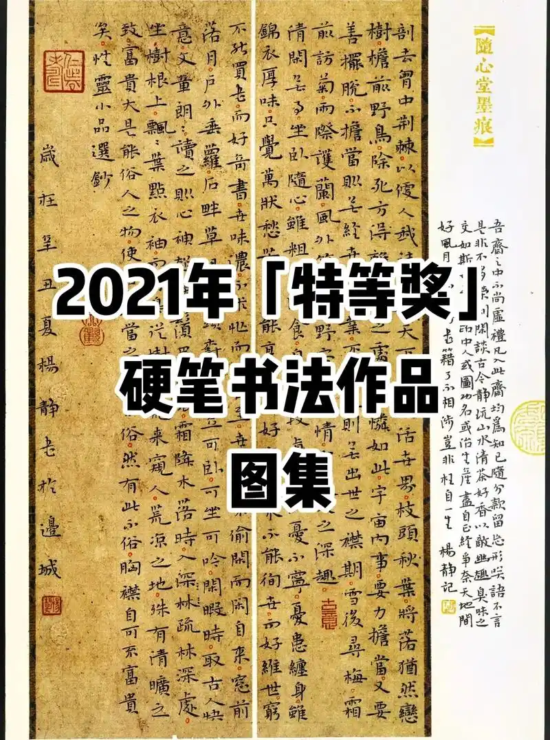 2021年特等奖硬笔书法作品长什么样?(二)第六届笔墨先锋杯 - 抖音