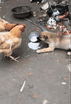 搞笑gif段子这钢琴弹得太好看了