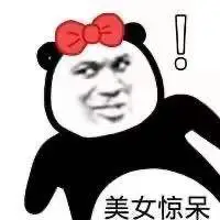 0美女惊呆(熊猫头表情包)_熊猫_惊呆_美女表情