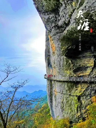 【携程攻略】南川区金佛山景点,南川金佛山,看到了难得一见的彩林.