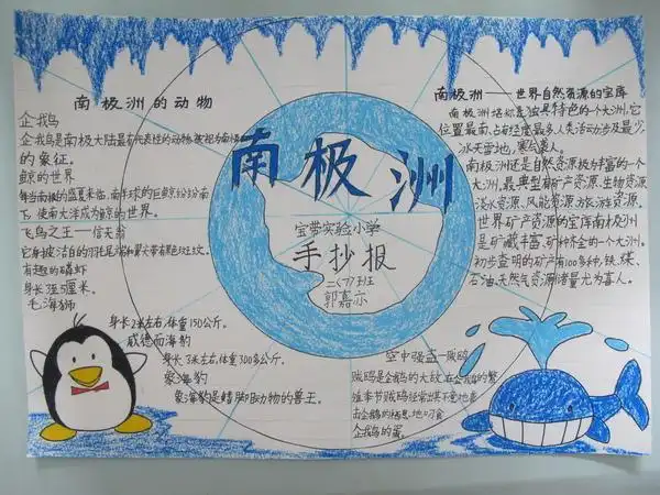 第十一届外语节南极洲手抄报设计制作优秀作品展示