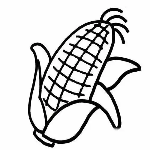 玉米简笔画图片一株玉米简笔画图片
