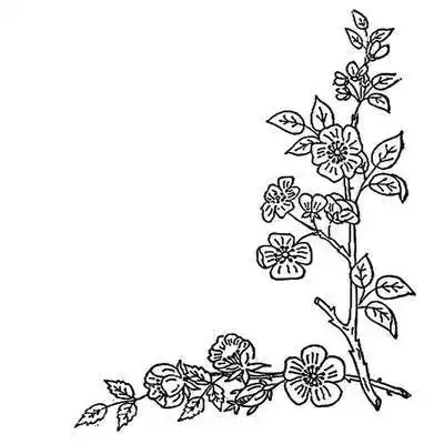 简笔画漂亮花边框手抄报 花边手抄报-普车都