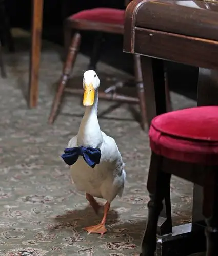 5 / 5                       he tweeted: "police officer stops a