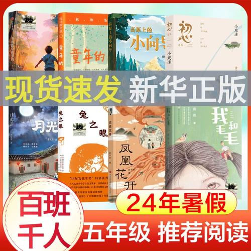 童年的山百班千人五年级2024年暑假凤凰花开我和毛毛不再隐身的男孩