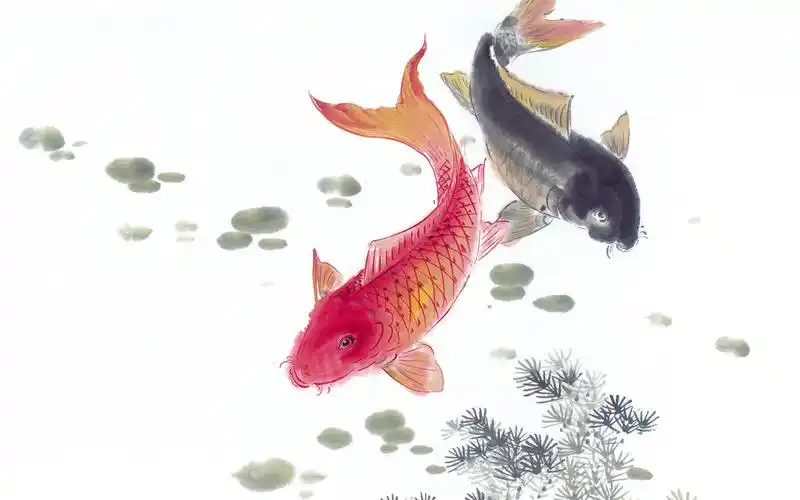 锦鲤寓意着吉祥幸福,艺术壁纸-回车桌面