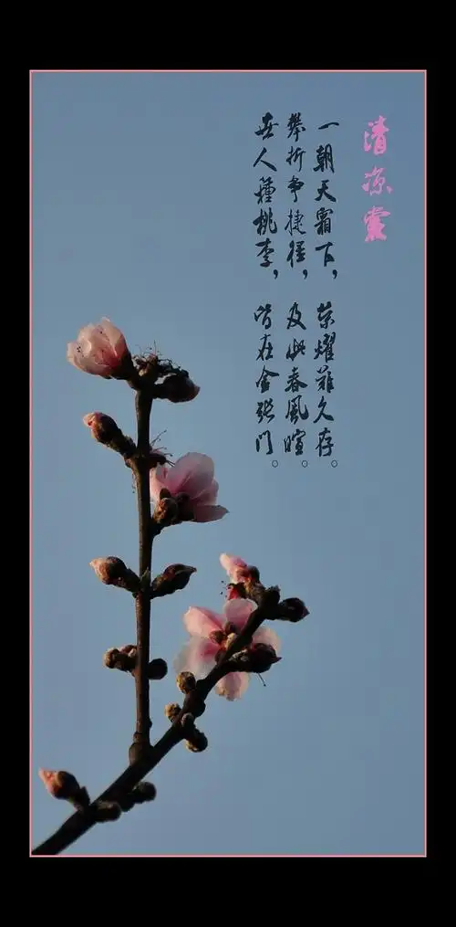 "怪坡"行桃李满天下