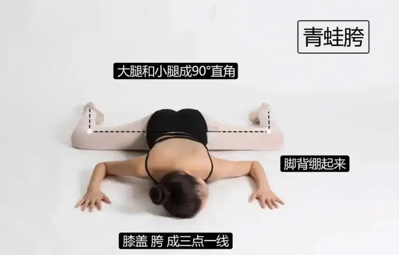 零基础横叉练习图示