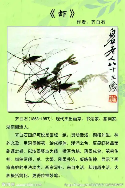 齐白石虾图片