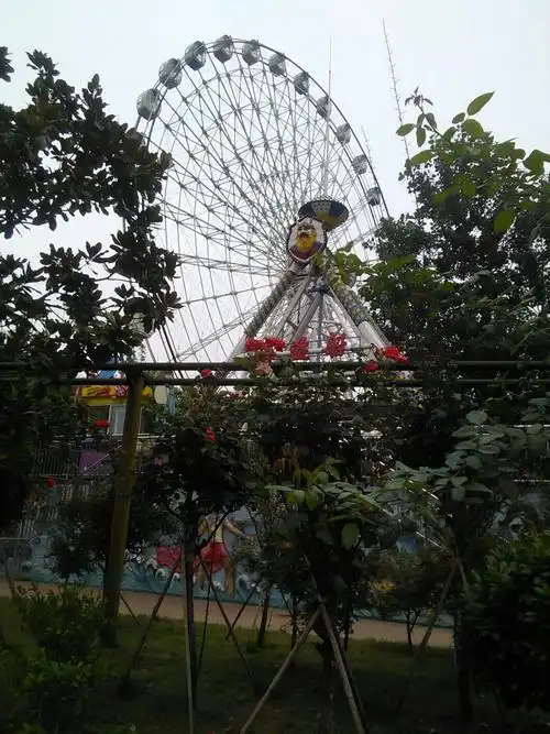 湖北省荆州市沙市区玉桥路靠近玉桥公园天气预报