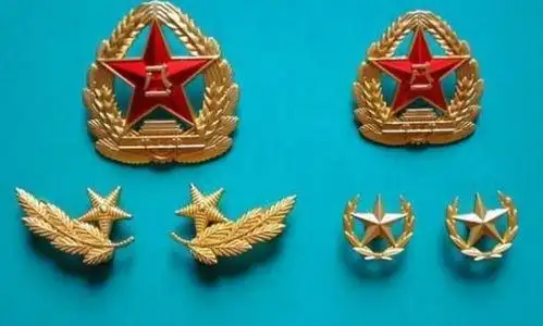 领花是不是每个军人都有