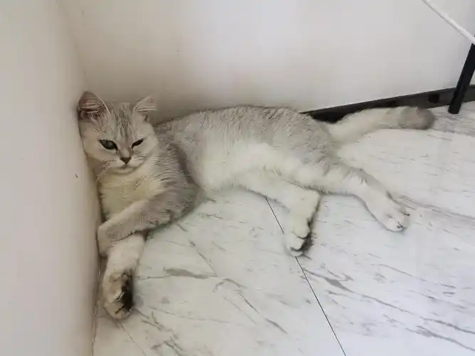 头靠着墙壁睡觉