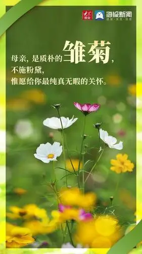 母亲节丨母亲·花