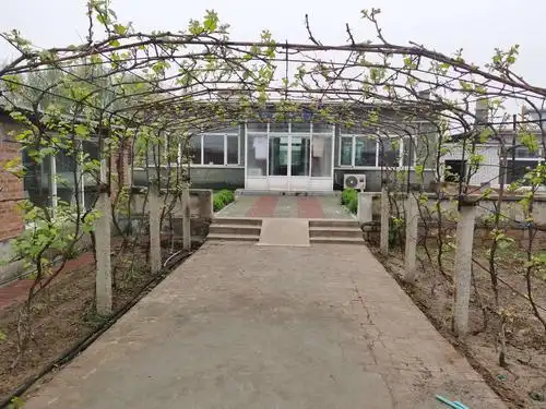 晒晒我家小院子——石新镇石新社区 - 美篇