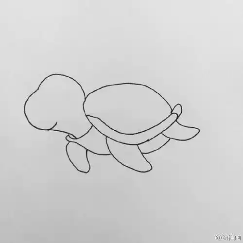 海龟简笔画 海龟简笔画可爱