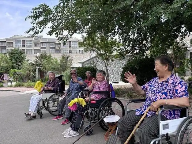 人大代表建议分类施策,破解农村养老"双低双高"|幸福|医疗|居家养老