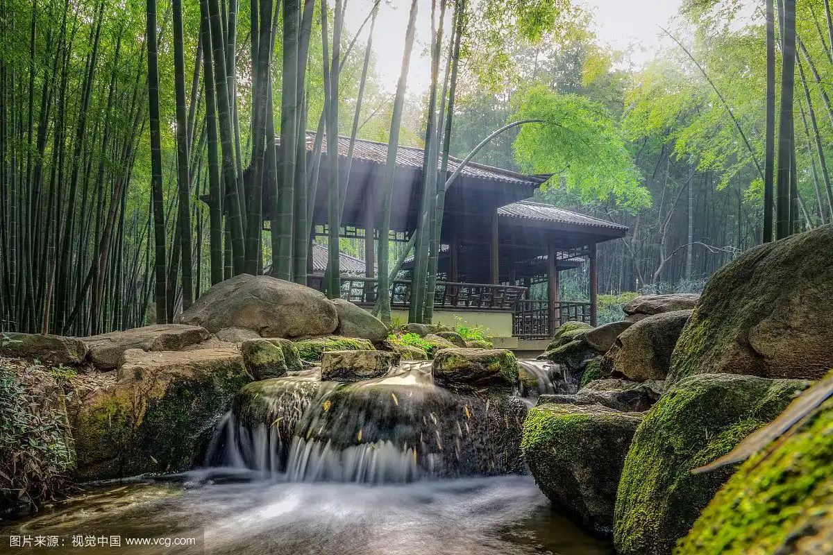 苏州虎丘山小溪和竹林