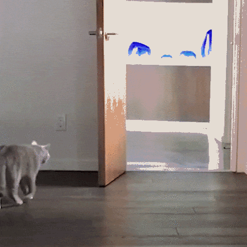 480_480gif 动态图 动图