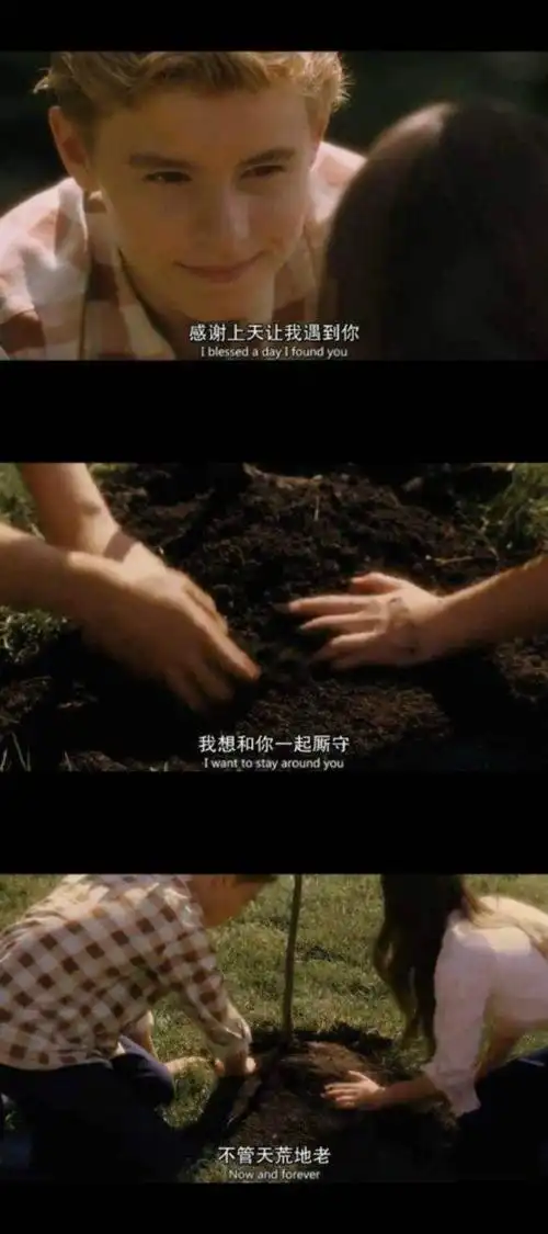 怦然心动经典台词